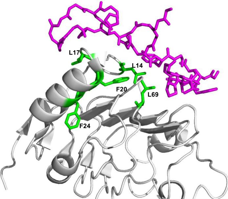 Figure 5