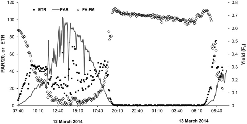 Fig 5