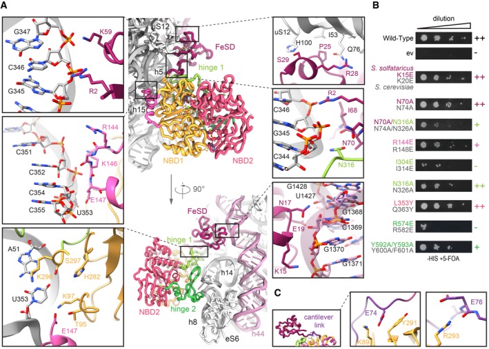 Figure 2