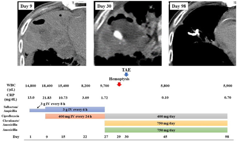 Fig. 3