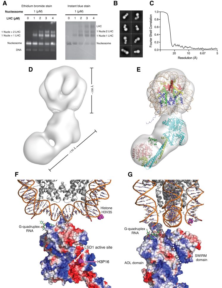 Figure 5