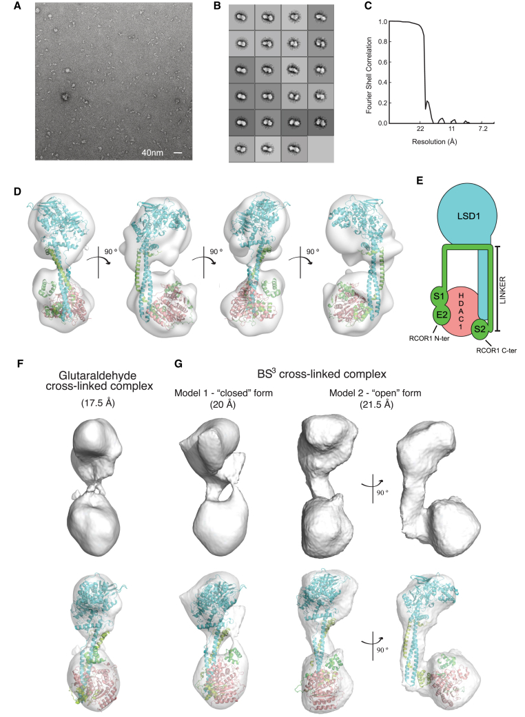 Figure 4