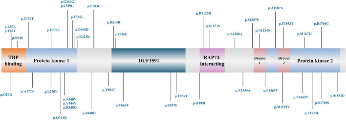 FIGURE 1