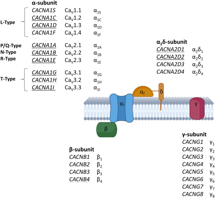 FIGURE 1