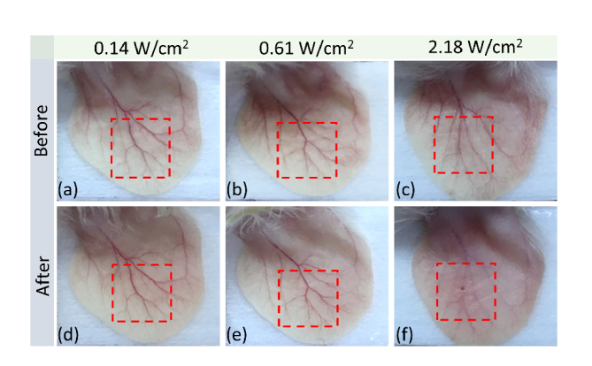 Fig. 8