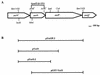 FIG. 1