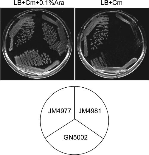 FIG. 6.