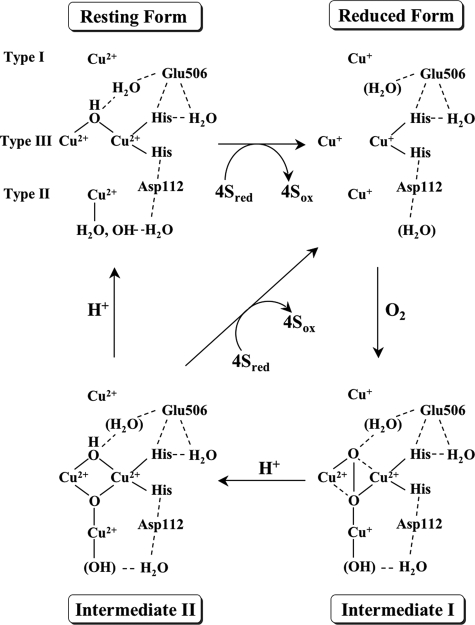 FIGURE 6.