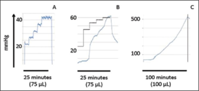 Fig. 3: