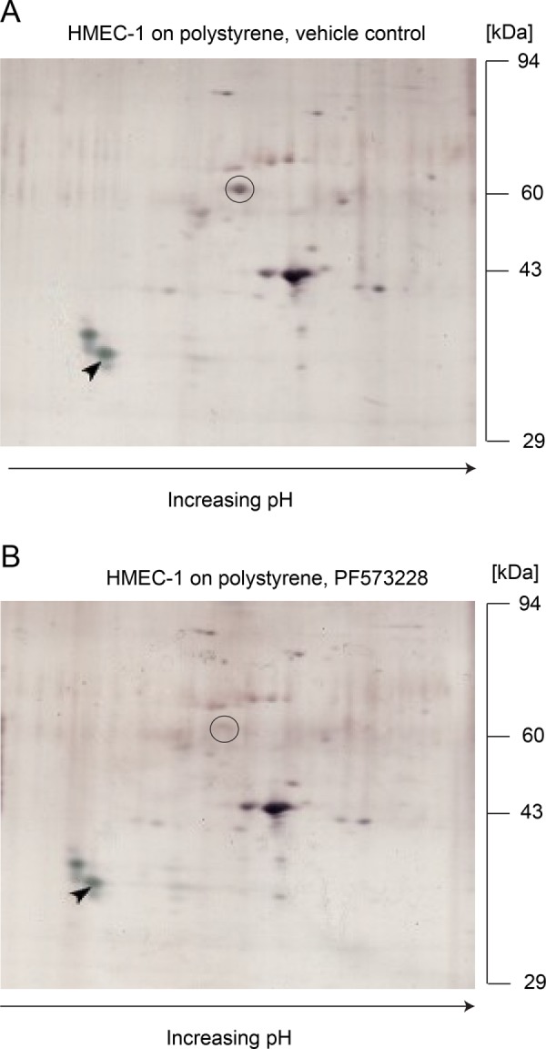 FIGURE 5: