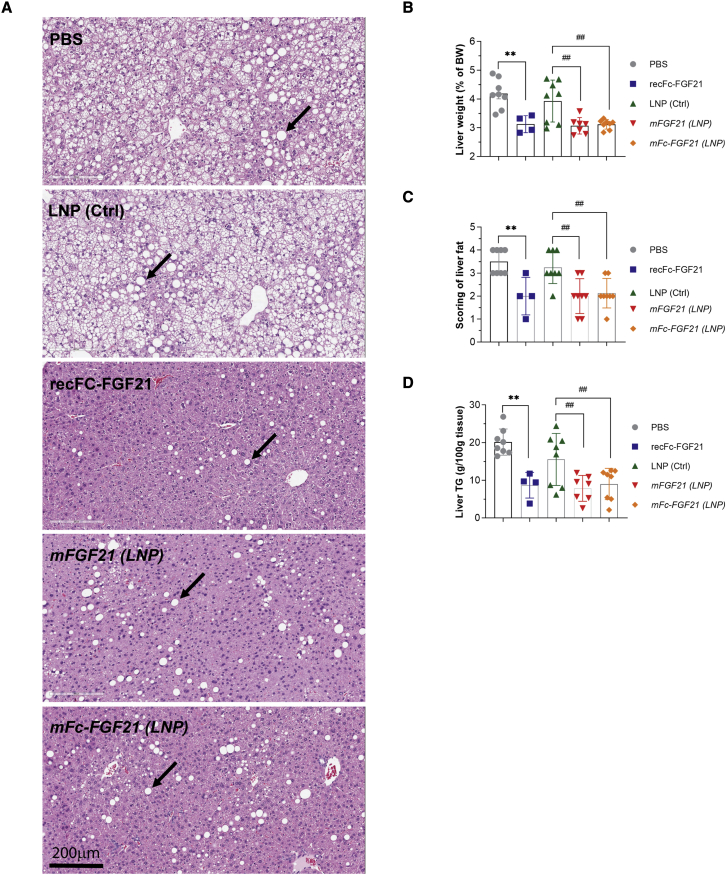 Figure 5