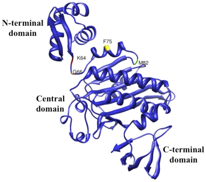 Figure 6