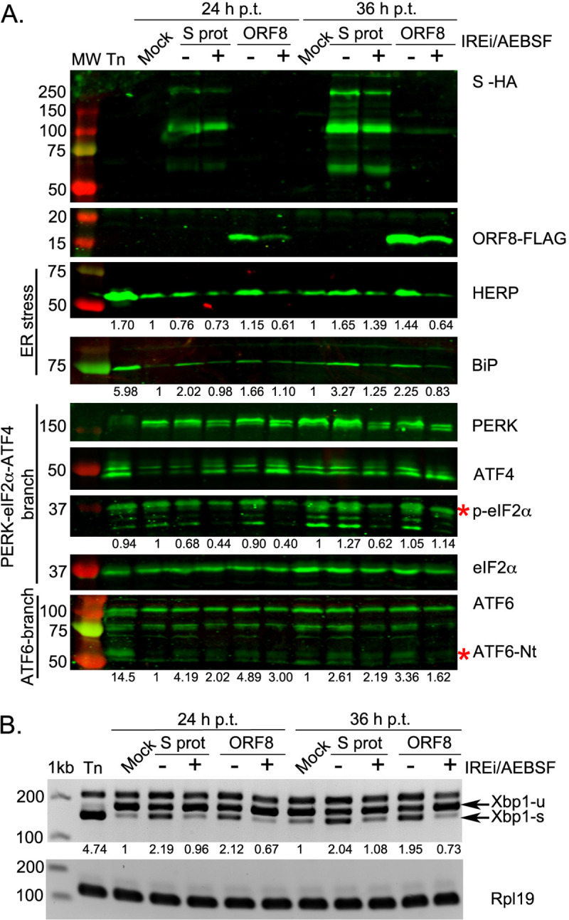 Fig 4