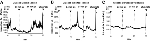 FIG. 1.