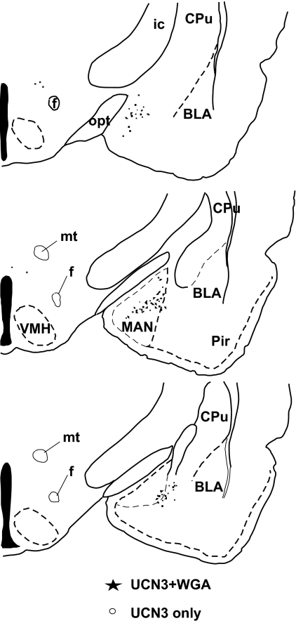 FIG. 4.