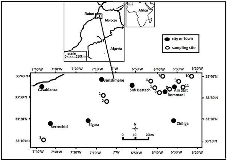 FIGURE 1