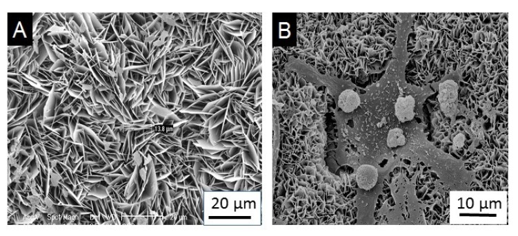 Fig. (1)