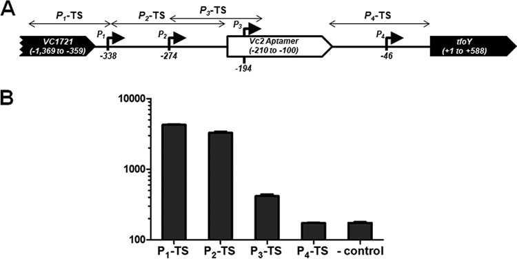 FIG 2