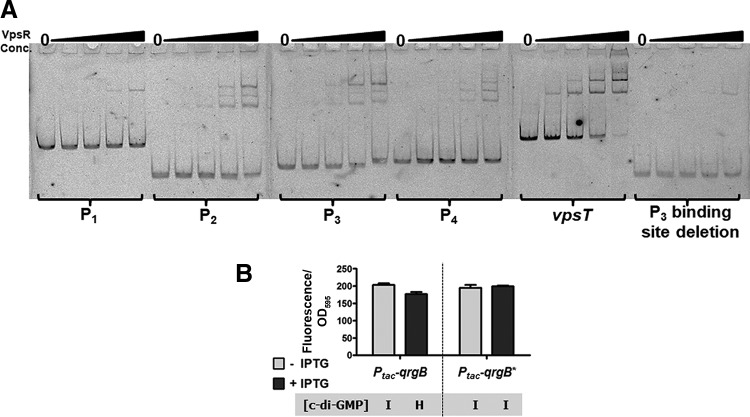 FIG 5