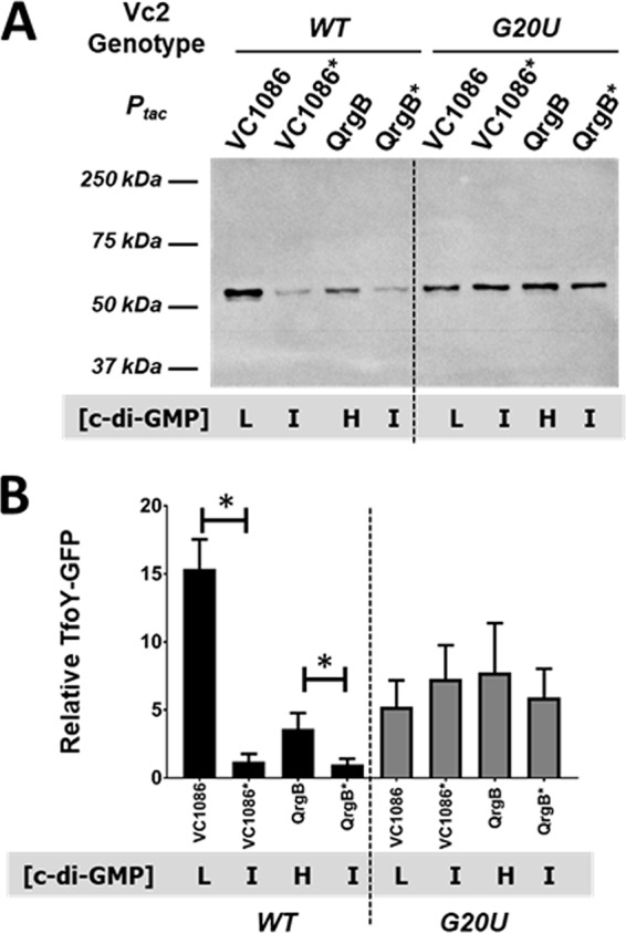 FIG 1