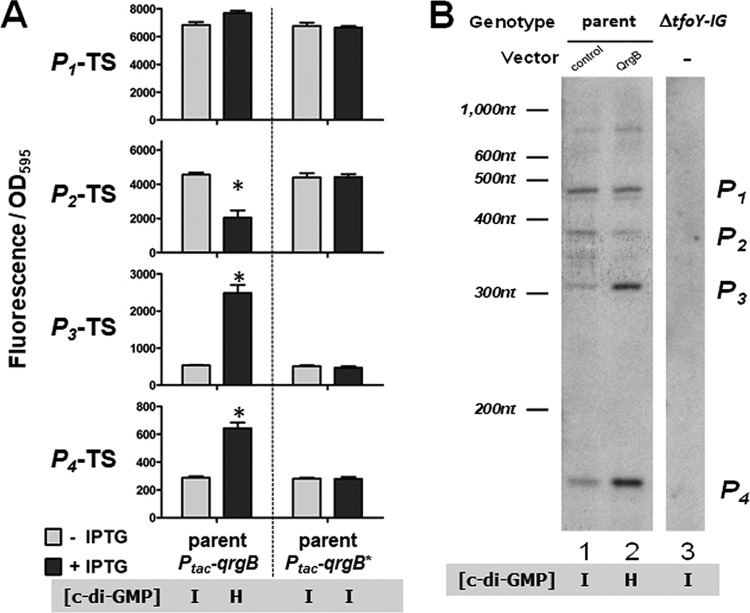 FIG 3