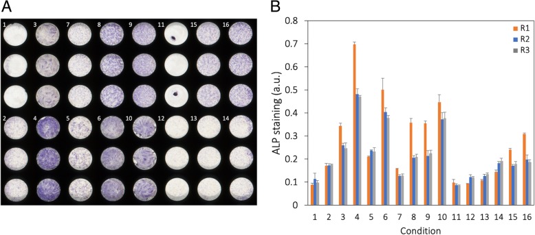 Fig. 2