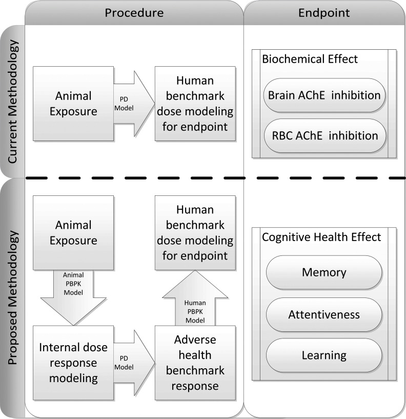 Flow chart indicating relationship between the procedure and end points