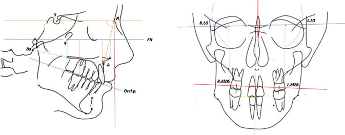 Fig. 4
