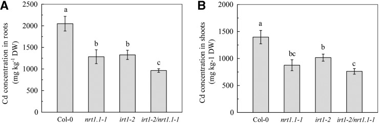 Figure 7.