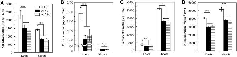 Figure 4.