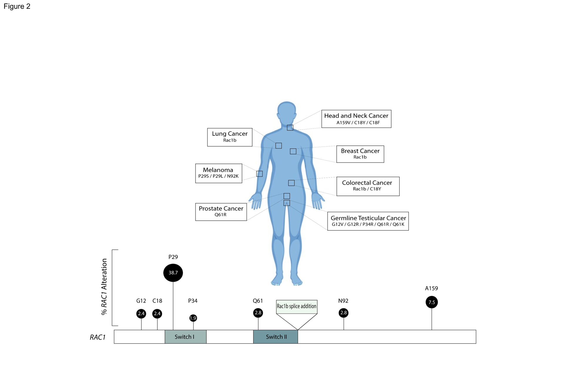 Figure 2.