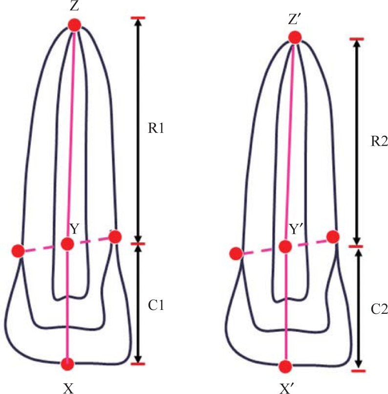 Fig. 1