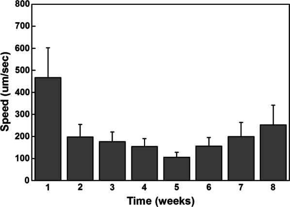 Fig. 4