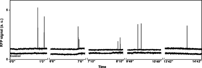 Fig. 1