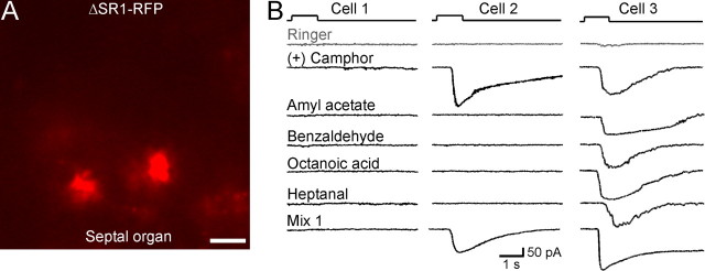 Figure 7.