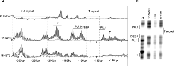 Figure 6.