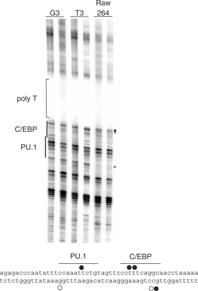 Figure 5.