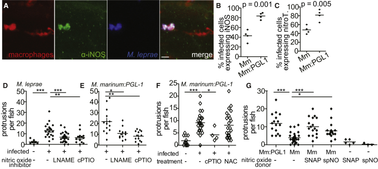 Figure 6