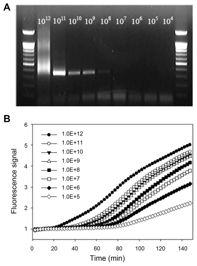 Fig. 5