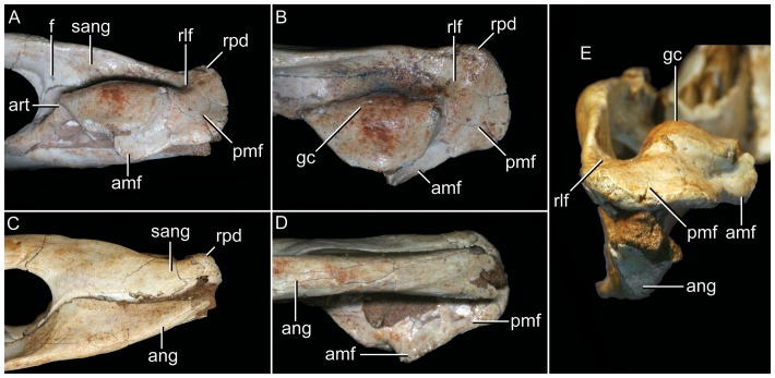 Figure 27