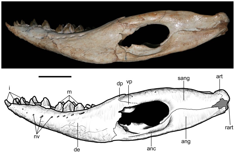 Figure 24