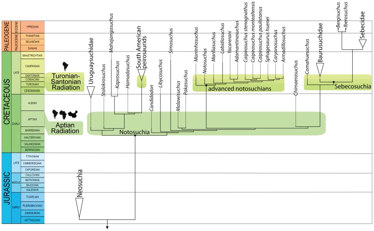 Figure 47