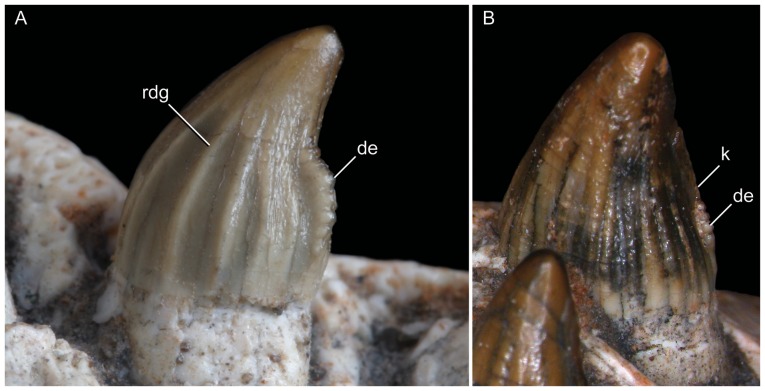 Figure 29