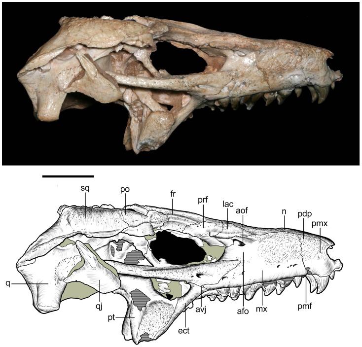 Figure 11