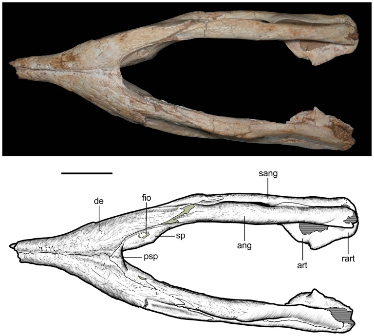 Figure 23