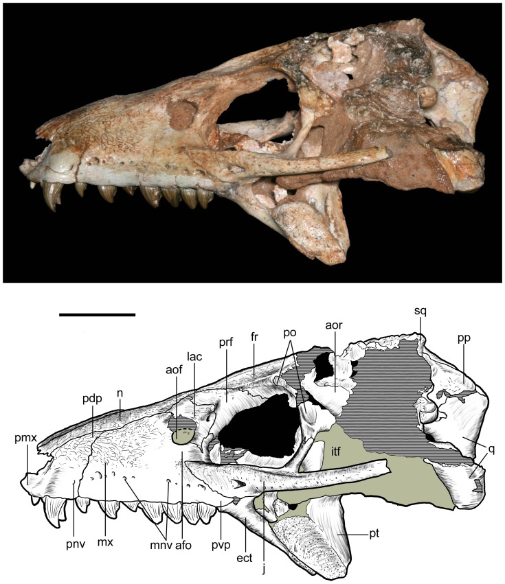 Figure 10