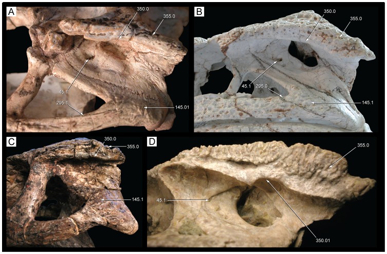 Figure 39