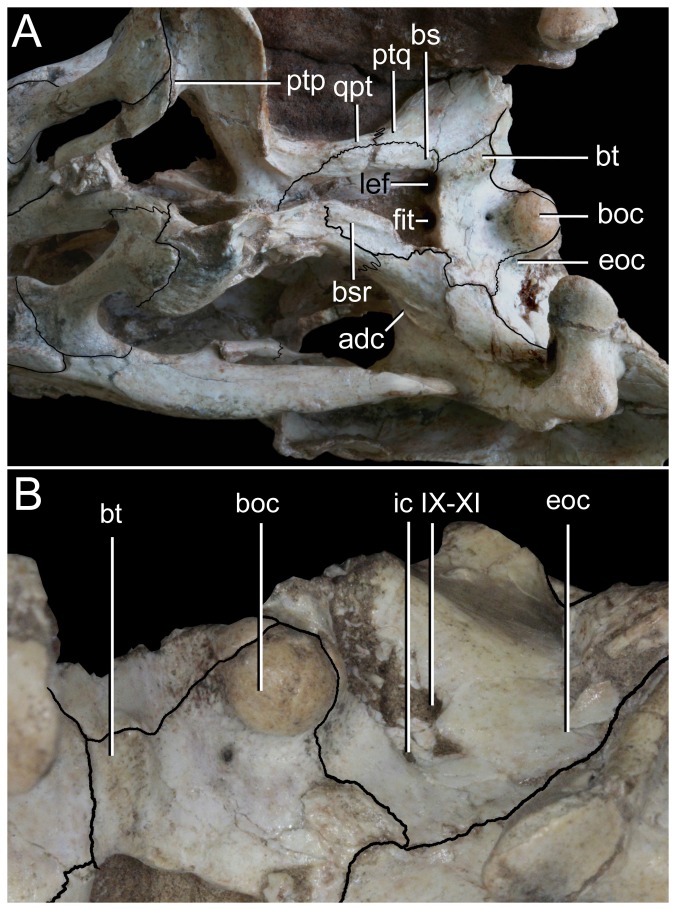 Figure 20