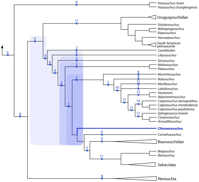 Figure 48