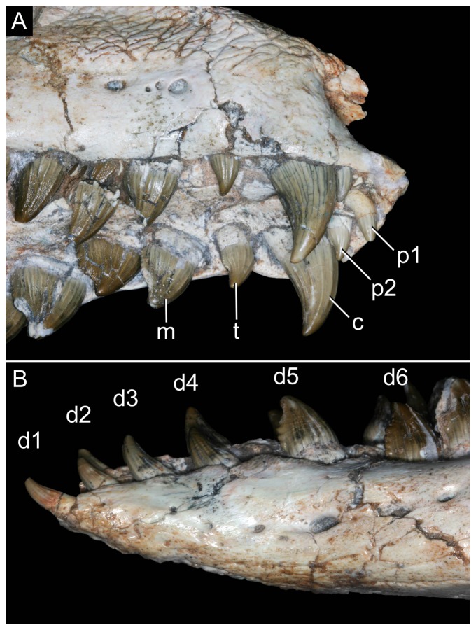 Figure 28